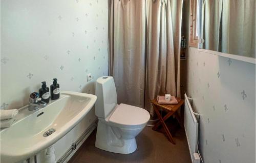 een badkamer met een wit toilet en een wastafel bij Pet Friendly Home In Frgelanda With Kitchen in Färgelanda