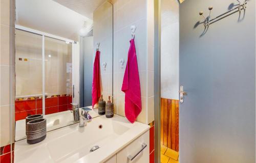 ein Bad mit einem Waschbecken und einem Spiegel in der Unterkunft Nice Home In La Grimaudire With House A Panoramic View 