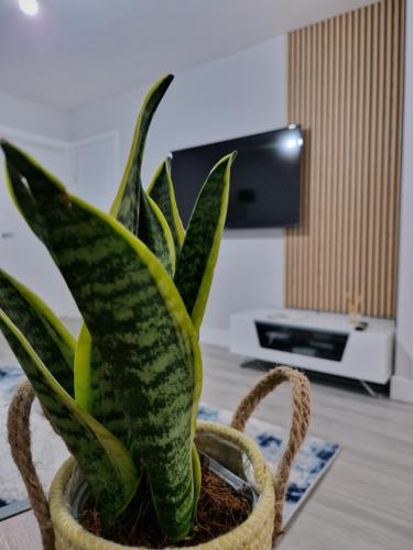 Stylish 2 bed home- short walk to Tottenham Stadium/Stations photo 11