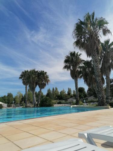 une piscine avec des palmiers en arrière-plan dans l'établissement Bora-Bora, à Vias