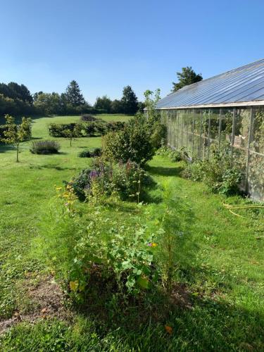 a garden with some flowers and a greenhouse at Mariegaardens Gæstehuse in Hillerød