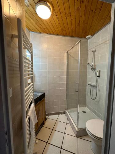 a bathroom with a shower and a toilet at Logis Le Chalet in Saint-Maurice-en-Trièves