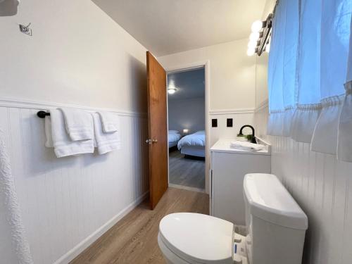 a white bathroom with a toilet and a sink at Star Gate Motel in Indian River