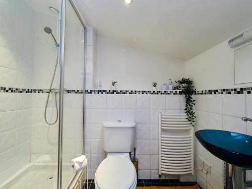 a bathroom with a toilet and a shower and a sink at Emerald Suite - Two Story Duplex Apartment - Contractors - Family - Business - City Centre - Sleeps 6 in Birmingham