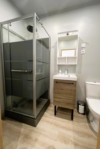 une salle de bain avec une douche en verre et un lavabo dans l'établissement Villa la Brise , Studio 