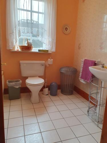 a bathroom with a toilet and a sink and a window at Lily's Place - up to 4 persons in Birr