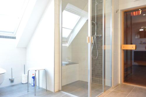 a bathroom with a shower with a glass door at Heimathafen in Flüthörn