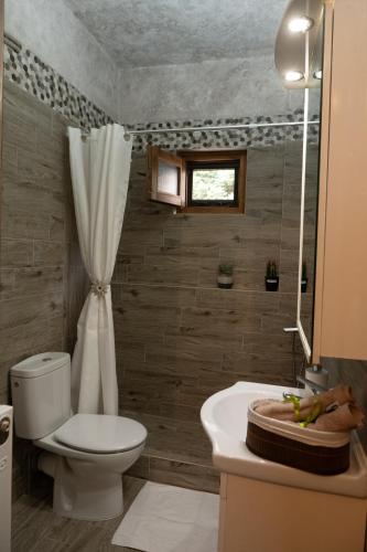 a bathroom with a white toilet and a sink at Άγρια Λούλουδα Κατοικία Ευτυχία in Timfristós