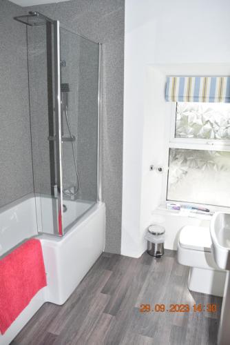 a bathroom with a shower and a toilet and a sink at Ty Alban in Ffestiniog