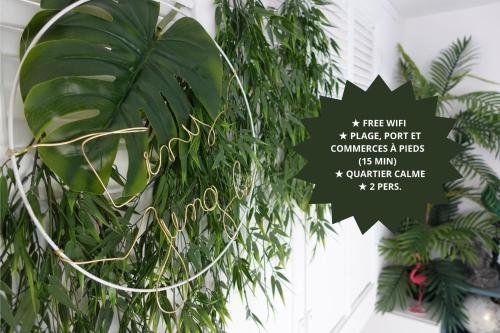 *Tiny Jungle* / Plage, port et commerces à pied