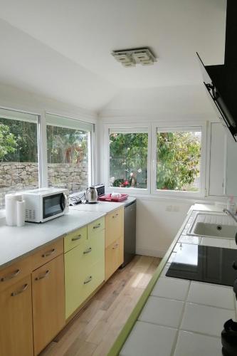 une cuisine avec un évier et un micro-ondes dans l'établissement Les Camélias, à Loctudy