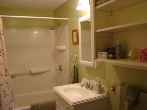 La salle de bains est pourvue d'un lavabo, d'une douche et de toilettes. dans l'établissement Lynns Cottage at Heron Ledge, à Plattsburgh