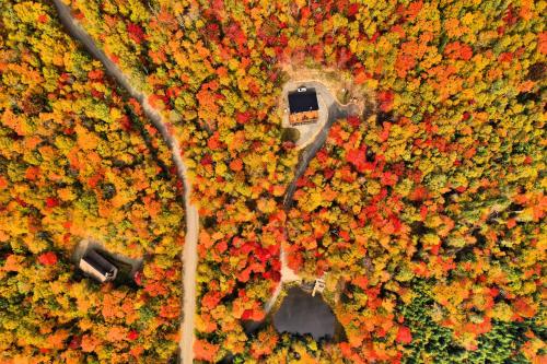 an aerial view of a car on a road in a forest at KALLM-Mont-Tremblant chalet with hot tub, pond & beach on private 7acre estate in Lac-Superieur