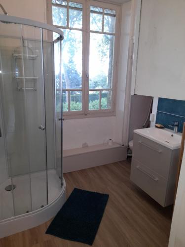 a bathroom with a shower and a sink and a window at Appartement indépendant dans grande maison in Pouilly-sur-Loire