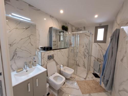 een badkamer met een toilet, een wastafel en een douche bij Saint Jhon in Menton