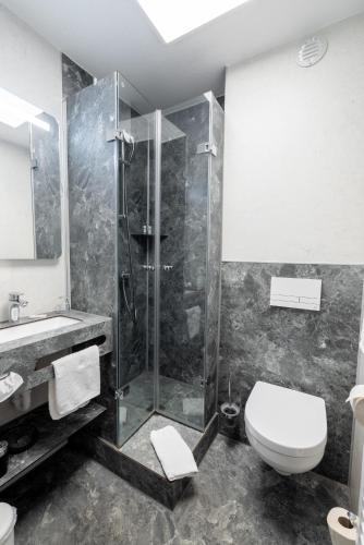 a bathroom with a shower and a toilet and a sink at Hotel Lüttje Burg in Lütjenburg