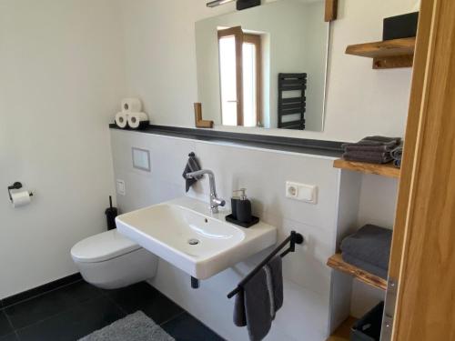 a bathroom with a sink and a toilet and a mirror at Ferienwohnung an der Jodquelle in Bad Endorf