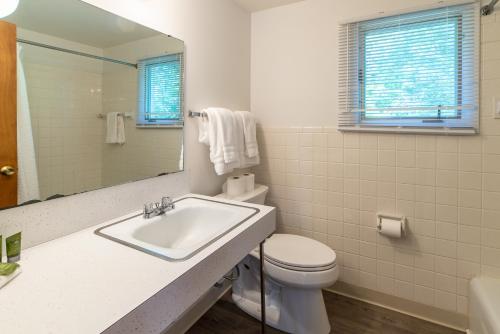 a bathroom with a sink and a toilet and a mirror at Star Gate Motel in Indian River