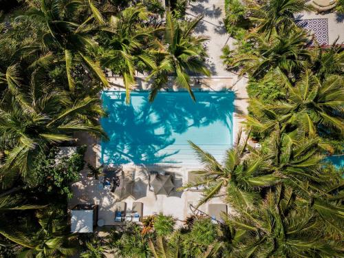 - une vue sur la piscine bordée de palmiers dans l'établissement Jashita Hotel, à Tulum