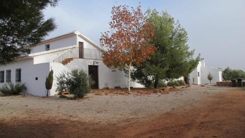 une maison blanche avec des arbres devant elle dans l'établissement Gran Casa, Lagunas de Ruidera, BBQ, porche, chimenea, à Ruidera