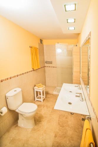 a bathroom with a toilet and a sink and a shower at San Nicolás in Playa del Ingles