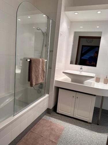 La salle de bains est pourvue d'une douche, d'un lavabo et d'un miroir. dans l'établissement Petit nid cosy au cœur du Puy 1 à 5 personnes, au Puy-en-Velay