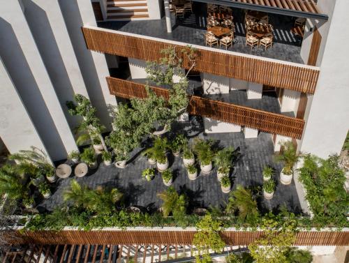 Κήπος έξω από το Casa Agape Hotel Tulum with Beach Club Access