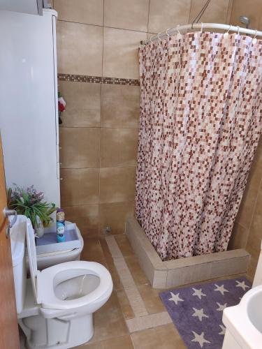 a bathroom with a toilet and a shower curtain at Depto Oro Verde in Oro Verde