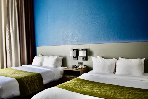 a hotel room with two beds and a blue wall at Comfort Inn & Suites Calhoun South in Calhoun