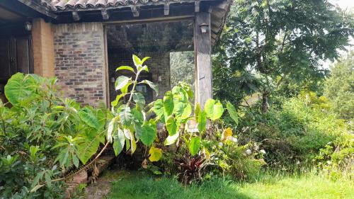 a brick house with plants in front of it at El Cobijo in Chocontá