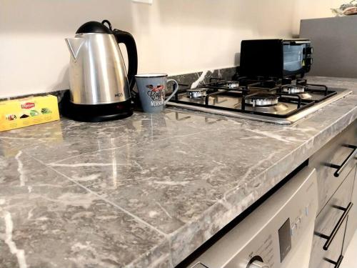 Kuchyň nebo kuchyňský kout v ubytování Appartement cosy proche Aéroport