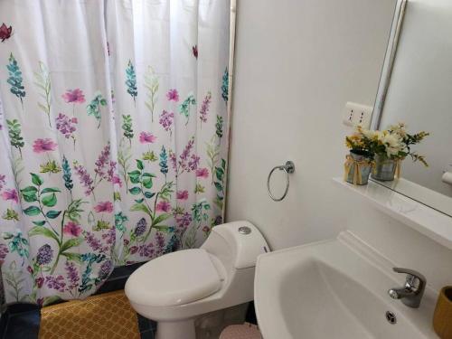 a bathroom with a toilet and a sink and a shower curtain at Casa 10 personas cerca de Bahia Inglesa in Caldera