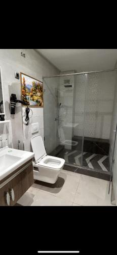 a bathroom with a shower and a toilet and a sink at Maarif Elite Suites in Casablanca