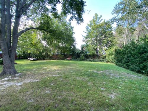 a large field with a tree in the middle at Downtown Picton 3 bedroom in Picton