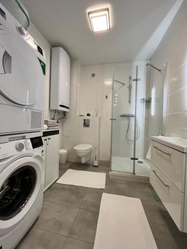 波利亞納的住宿－Апартаменти в Arena Apart，白色的浴室设有洗衣机和淋浴。