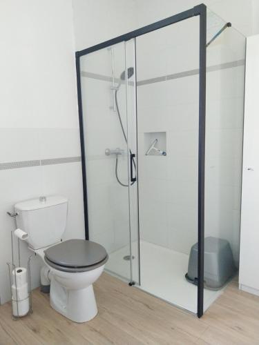 a bathroom with a toilet and a glass shower at Gîte-appartement sur la Côte d'Emeraude in Beaussais sur Mer