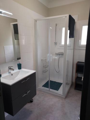 a bathroom with a shower with a sink and a toilet at le gite du Montcalm in Auzat