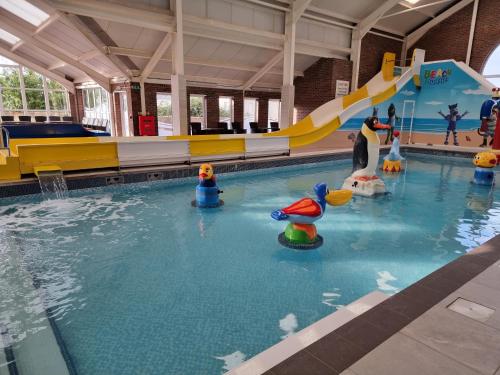 a swimming pool with a water slide and penguins at Lucy's Lodge in Rhyl