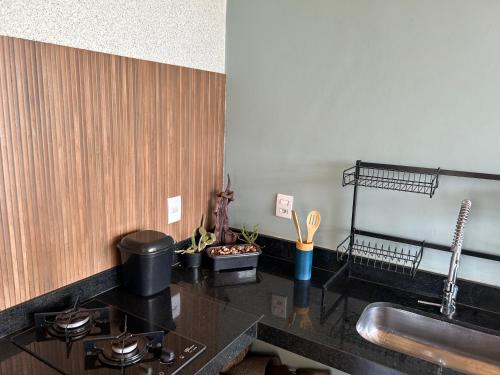 a kitchen with a counter top with a sink at Recanto Manga da Rosa - casinha de fazenda no centro da cidade in Olímpia