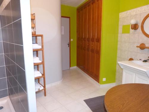 uma casa de banho com paredes verdes e um lavatório em Entre Vignes Et Marais em Vert-la-Gravelle