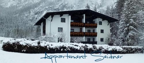 Appartement Seidner