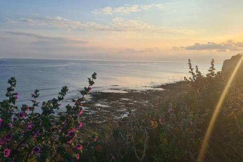 a view of the ocean from a field of flowers at House on Costal Village free parking in Peacehaven