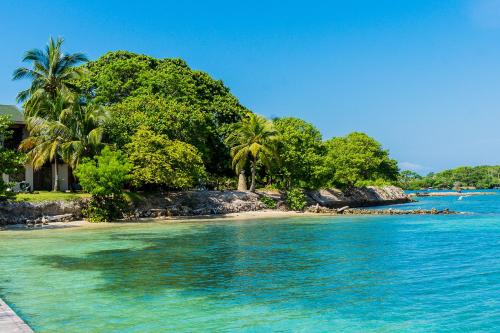 una isla tropical con palmeras y agua azul en Hotel Rosario de Mar by Tequendama, en Isla Grande