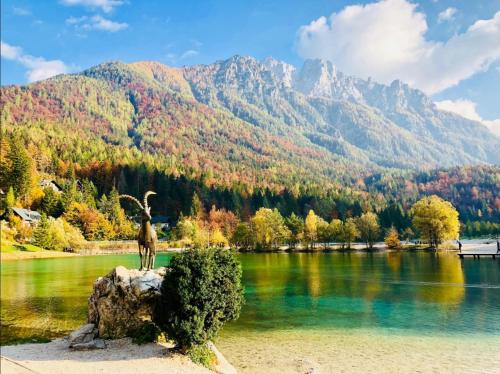Φυσικό τοπίο κοντά σε αυτό το διαμέρισμα