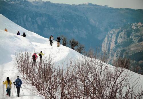 a group of people skiing down a snow covered mountain at Le Cedrus Hotel in Al Arz