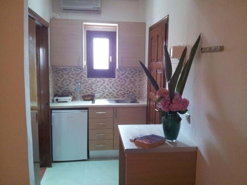 科孚镇Angela Corfu的厨房的柜台上放着花瓶