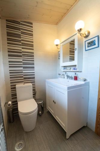 a bathroom with a toilet and a sink at The Flysch in Miríki