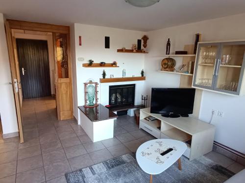 a living room with a television and a fireplace at Hiška na gorci in Podčetrtek