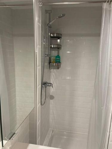 une salle de bain avec une douche avec un lavabo et des toilettes dans l'établissement Cocooning, à Colmar