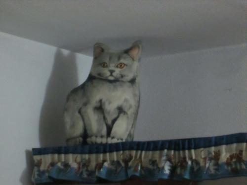 リド・ディ・オスティアにあるCat's Houseの棚上の猫